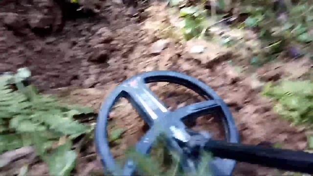 XP Deus поиск у ручья