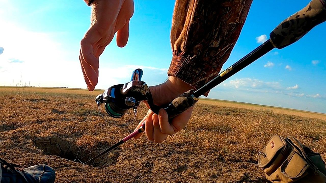 Охота на сурка. Такой охоты у меня еще не было. Ловил на спиннинг !? ) Охота 2024. День 2-ой смотреть онлайн