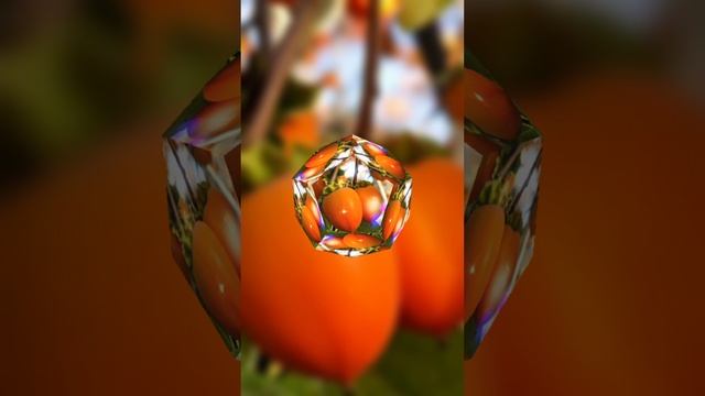 Хур-хрум день смотреть онлайн