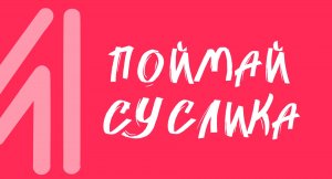 Видеоразминка "Поймай суслика"