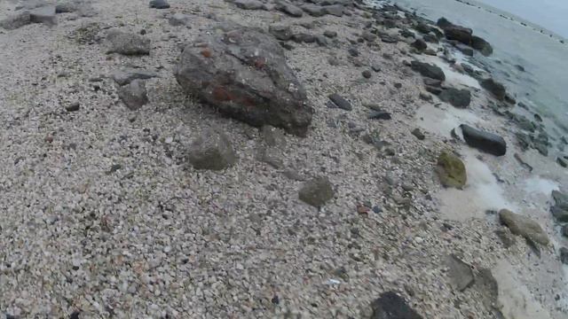 Ейск пляжи сегодня. 14.08.21. Не обошлось без Владимира Вольфовича. смотреть онлайн