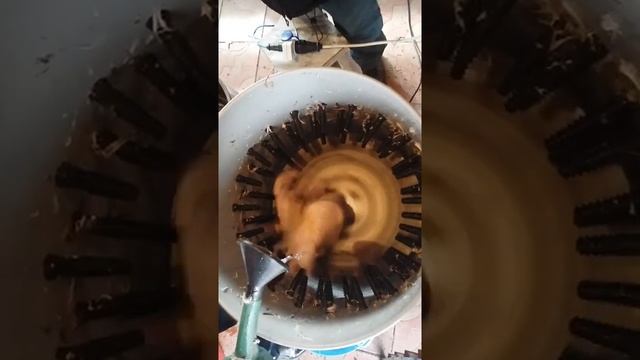 Перосъемная машина для гуся. Часть 2. смотреть онлайн