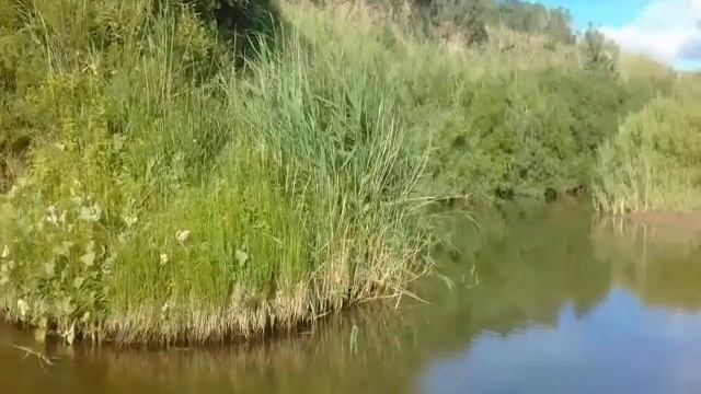Вот это клёв!Поймал крупного окуня!Она опять спасла мою рыбалку!Хорошая рыбалка! смотреть онлайн
