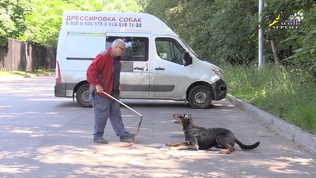 Босерон Боц, удочка и повороты на коврике смотреть онлайн