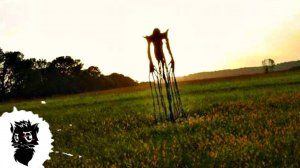 СТИКМЭНЫ И ДРУГИЕ ЖУТКИЕ ГОРОДСКИЕ ЛЕГЕНДЫ [Черный кот]