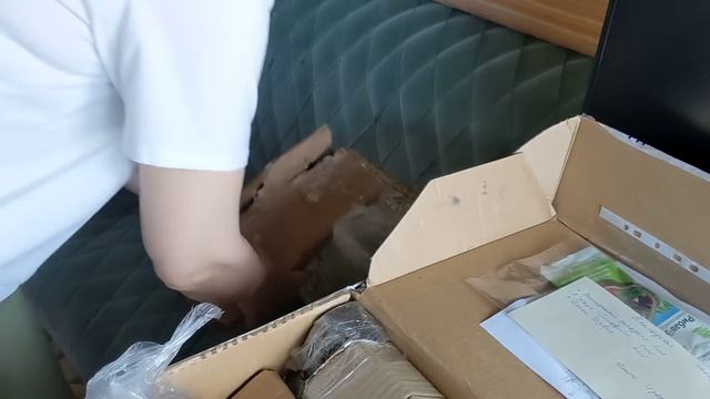 Уральские розы Анны Герман! Это что то новенькое! 11 мая 2023 г. смотреть онлайн