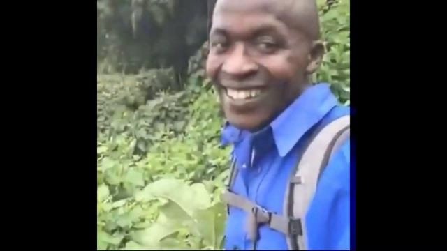 Genshin impact signatures that cure my depression #2 смотреть онлайн