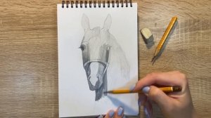 Как нарисовать голову лошади карандашом | Рисунок для начинающих поэтапно