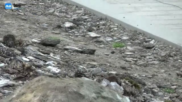 Дизайнерские находки