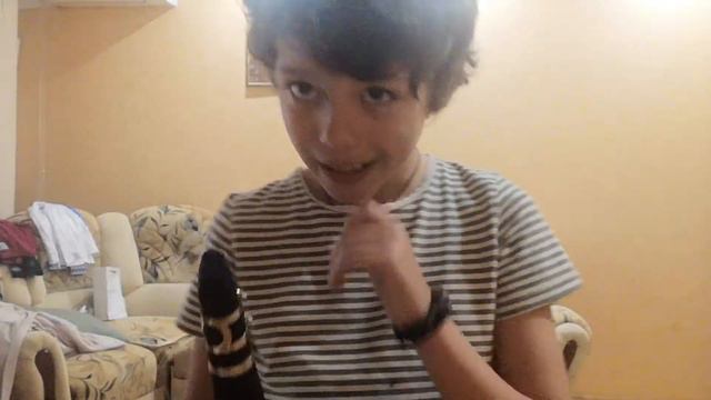 Кларнет видео смотреть онлайн