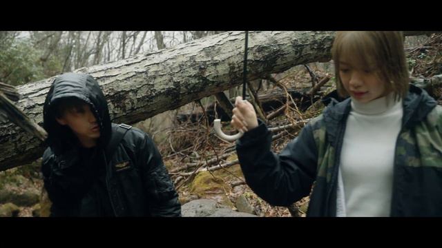 Welcome to Cinematic Colors | Sony Xperia 1 V Cinematic 4K【S-Cinetone for mobile】 смотреть онлайн