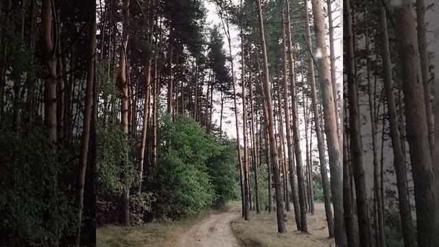 Байдарочный поход. Сплав по реке Киржач 2021 смотреть онлайн