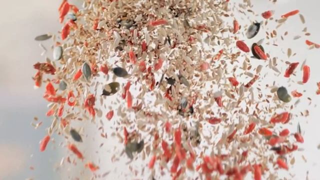 ? Las 7 MEJORES Panificadoras BARATAS de Amazon [2023]✅[Calidad/Precio] Domésticas según la OCU смотреть онлайн