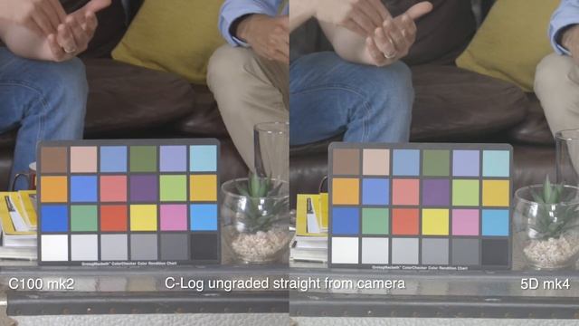 Canon 5D mk4 C Log upgrade vs Canon C100 mk2 смотреть онлайн