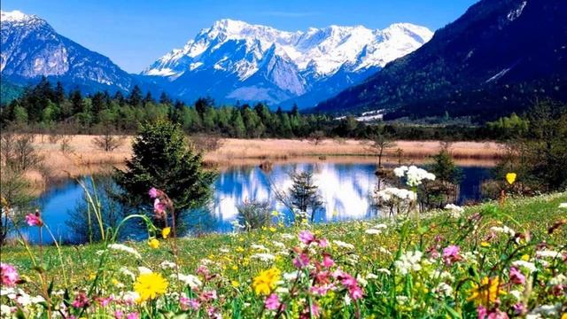 ОЧИЩЕНИЕ ПОМЕЩЕНИЙ ОТ НЕГАТИВНЫХ ЭНЕРГИЙ И СУЩНОСТЕЙ. смотреть онлайн