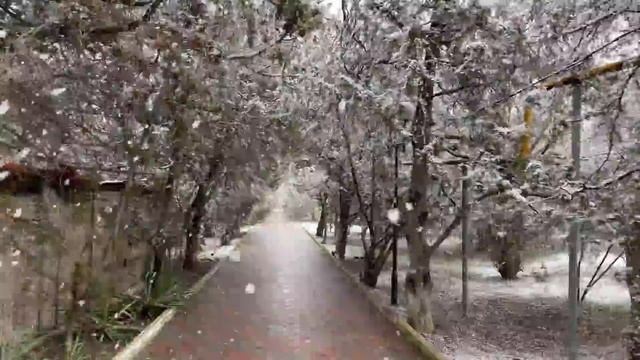 ПОГОДА в КРЫМУ что она вытворяет. Аварии на дорогах из-за СНЕГА. Эксклюзивные кадры зимней аномалии. смотреть онлайн