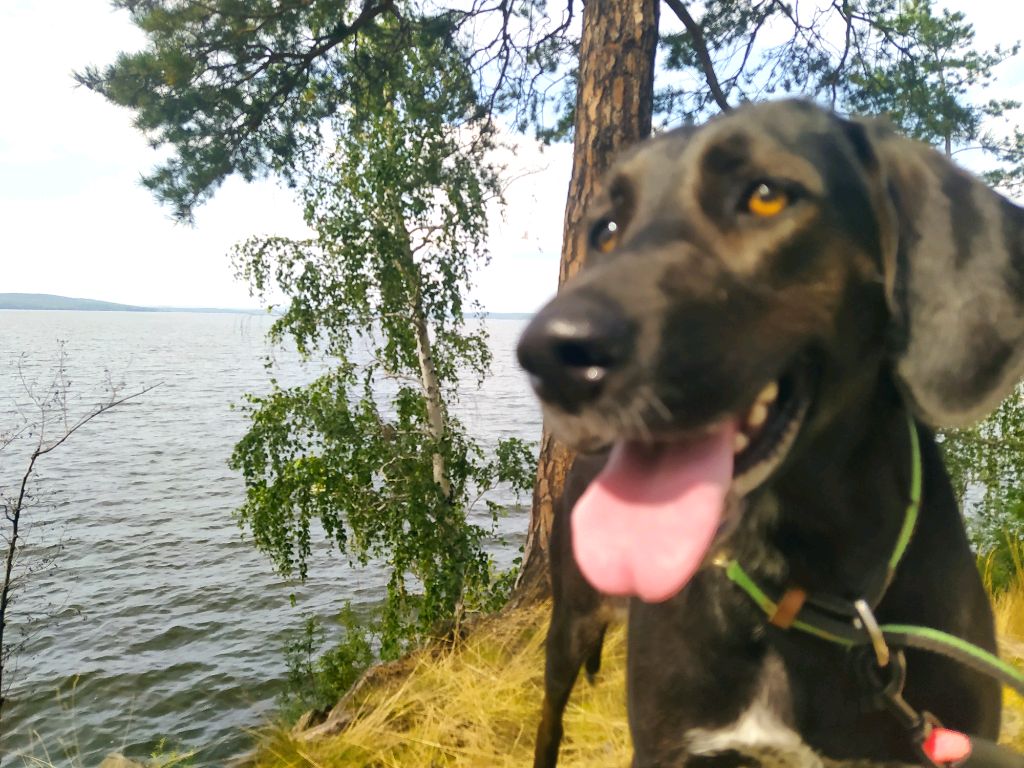 заходите будет весело смотреть онлайн