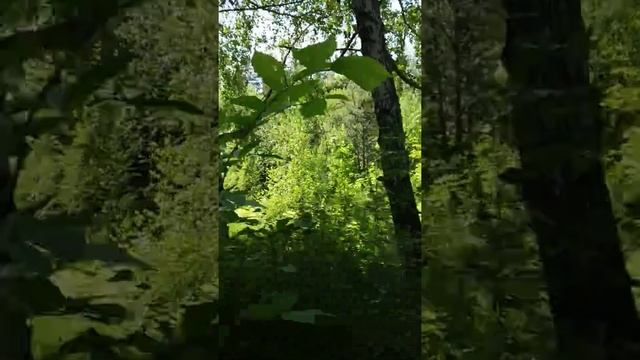 Утро вечера мудренее... смотреть онлайн