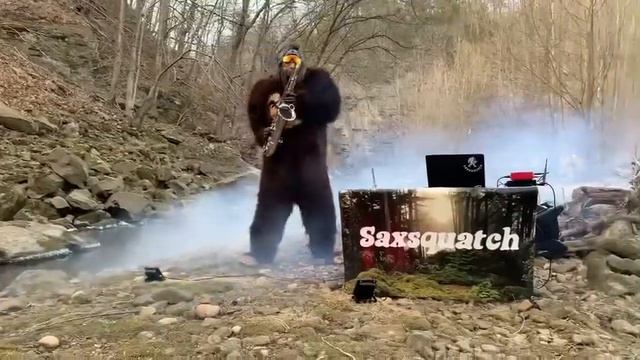 Dance Monkey смотреть онлайн