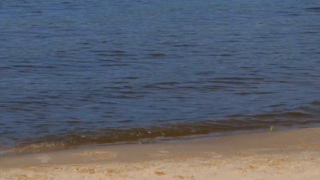 Отдых на берегу Оки, Муром, август 2023, Rest on the banks of the Oka River, Murom, August 2023 смотреть онлайн