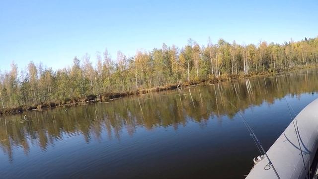 Щучья рыбалка на Окуня на озере Псковская область в солнечный день смотреть онлайн
