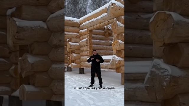 НЕ ОСТАВЛЯЙ СРУБ БЕЗ КРЫШИ! смотреть онлайн