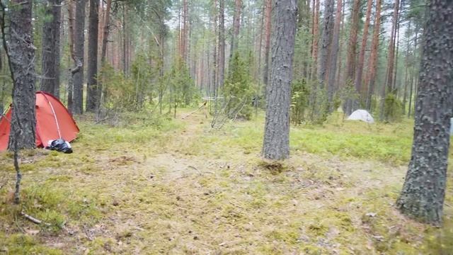 Как выбрать место для палаточного лагеря и организовать жизнь на отдыхе на природе и в кемпинге смотреть онлайн