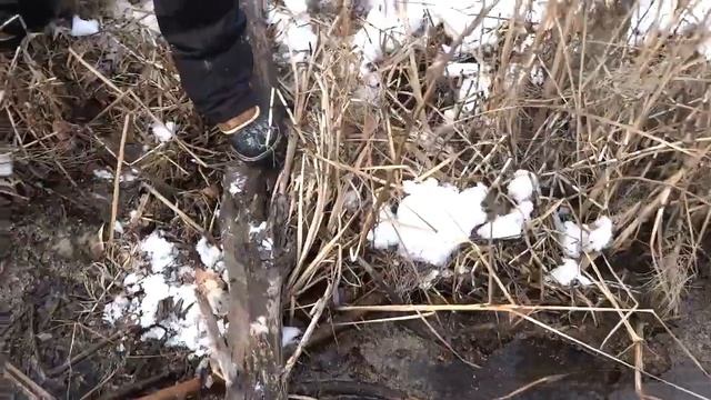 Жигулевский заповедник ноябрь 2021. смотреть онлайн