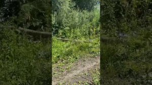 #минитрактор #132 #беларусь #выходные