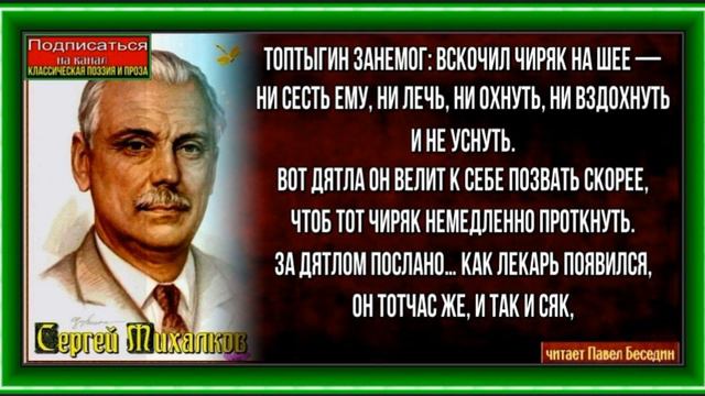 Осторожные птицы— Сергей Михалков —читает Павел Беседин смотреть онлайн