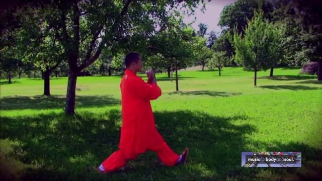 Shaolin QI GONG Exercises Pt.2