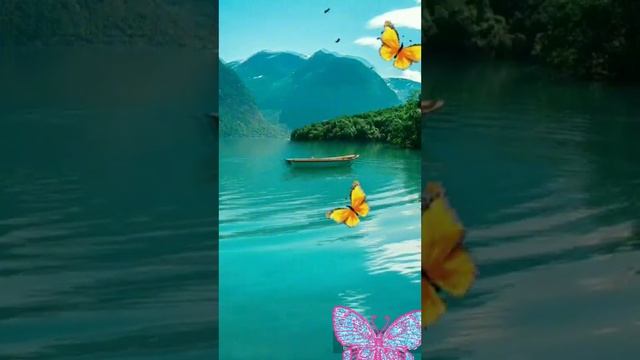 А я не хочу четыре стены.Натали. смотреть онлайн