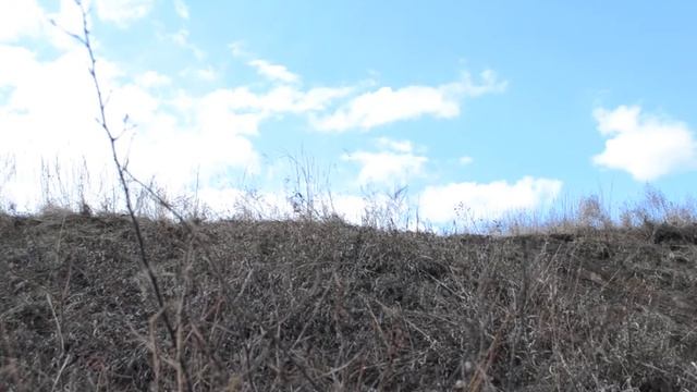 покорение горки на ниве