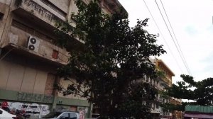 Столица Парагвая: первые впечатления, центр и красота