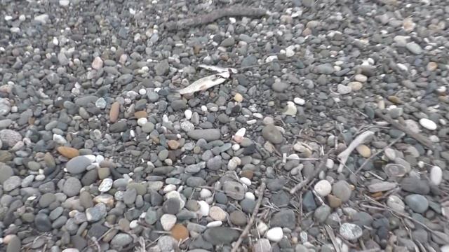 Рыбалка спинингом в КОДОРЕ.Декабрь 2019 смотреть онлайн