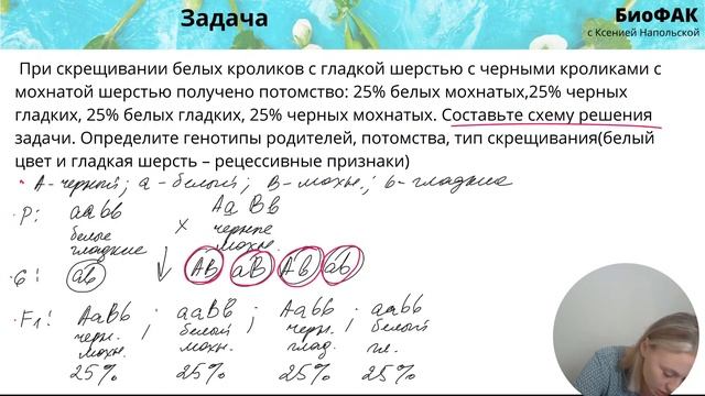Законы Менделя смотреть онлайн