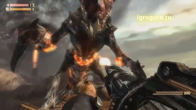 Обзор Singularity