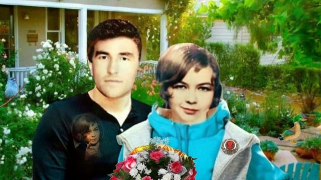 Любимый женой ... смотреть онлайн