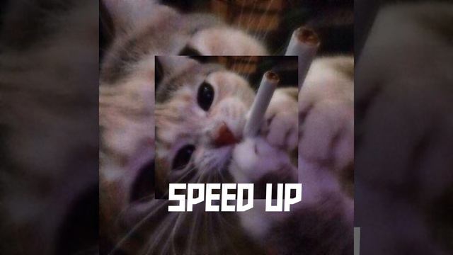 SPEED UP (хай-хай-хай,она похожа на модель)