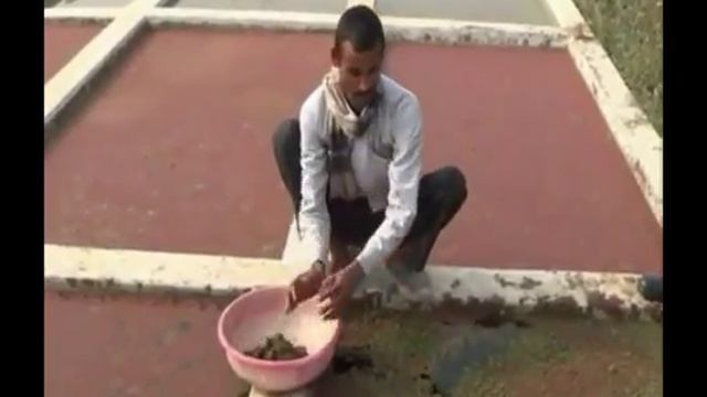 Annadata: How to grow azolla for cattle feed смотреть онлайн