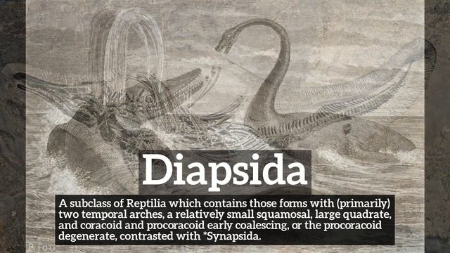 What is Diapsida? | How to Say Diapsida in English? | How Does Diapsida Look? смотреть онлайн