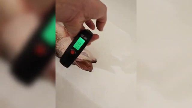 Мамки в ванной @Poshukailo73#paik#bigfish