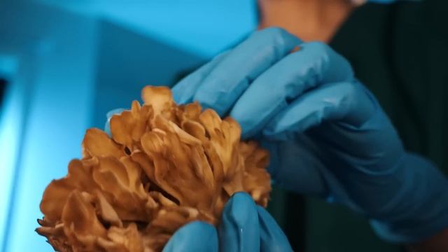 ASMR Autopsy/ Examination | The Last Of Us ? (Dissecting You, Collecting Samples) *NO SPOILERS* смотреть онлайн
