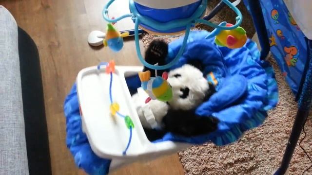 Fisher Price huśtawka Cuda Oceanu Ocean Wonder swing смотреть онлайн