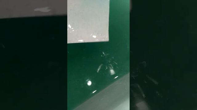 что будет если опустить листок(бумаги)в воду смотреть онлайн