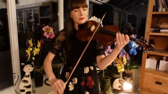 Song from a secret Garden | Violin смотреть онлайн