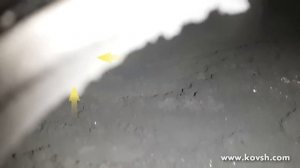 Причина недостаточного наддува на 651-м двигателе Mercedes Sprinter — лопнутый впускной коллектор