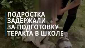 Подростка задержали за подготовку теракта в школе - Коммерсантъ