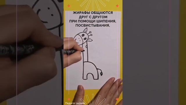 Как общаются жирафы. Интересный факт смотреть онлайн