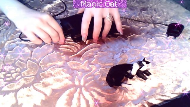 обряд денежная энергия кошелек смотреть онлайн